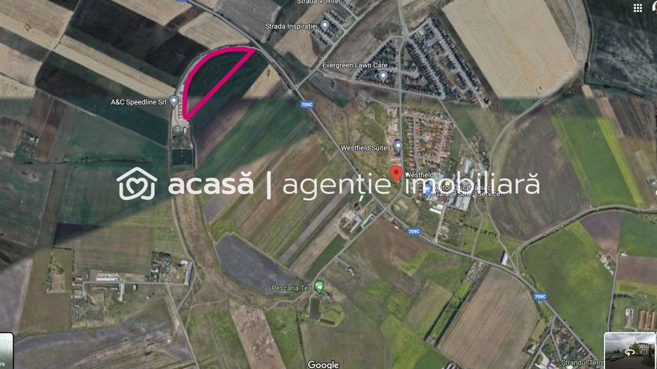 Teren de vânzare 3 ha in Arad - Poză 4