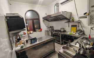 VILA EXCEPTIONALA PARCUL CAROL |  5 STUDIOURI | SPATIU HORECA FUNCTIONAL | - Poză 4