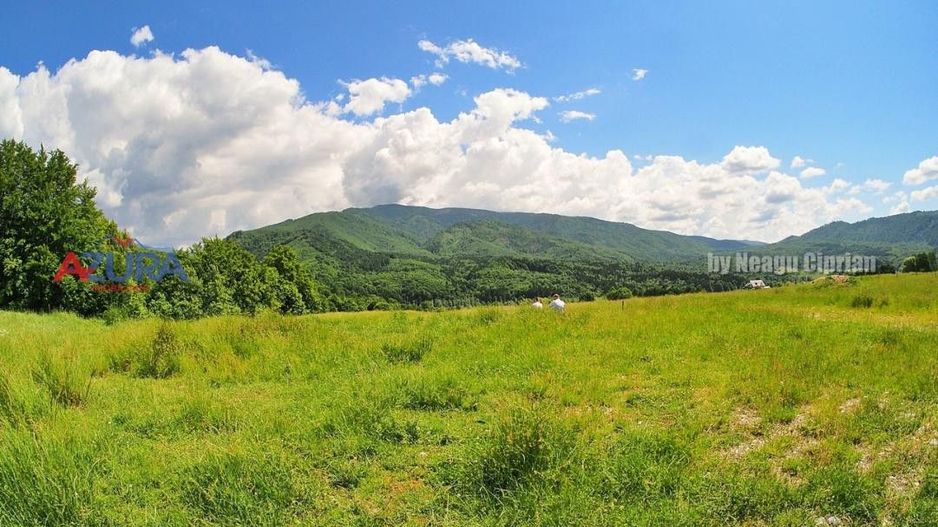 AZURA Imobiliare Pitesti - Casă de vacanță, Nucșoara! - Poză 43