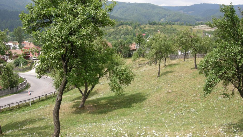 Teren intravilan 3214 mp în Rucăr cu deschidere 56 m în DN73 - Poză 1
