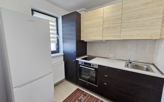 Apartament cu o camera de inchiriat, Hils Pallady - Poză 11