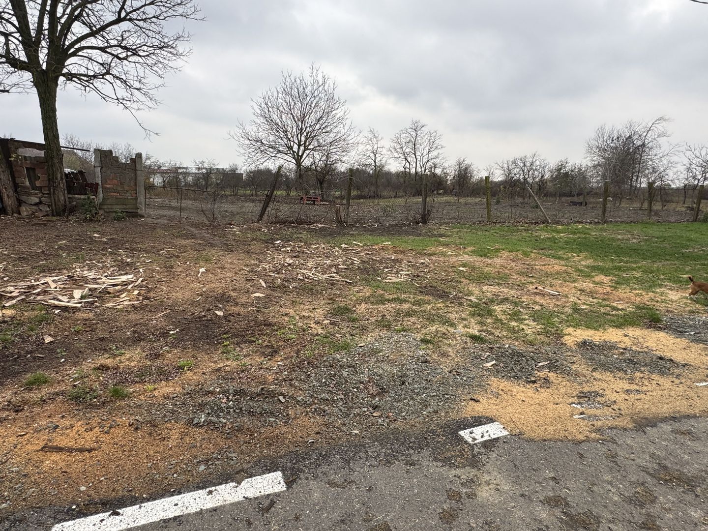 Teren Intravilan Becicherecu Mic 598mp,Utilitatile In Fata Parcelei,Asflat - Poză 1