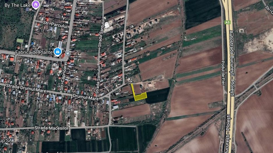 Teren excelent pozitionat la 15 min de capitala, in Caciulati - Poză 2