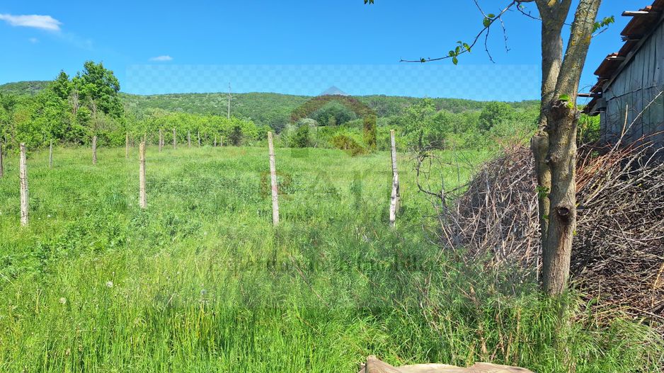 Casa de Vanzare Baiculesti Arges - Poză 16