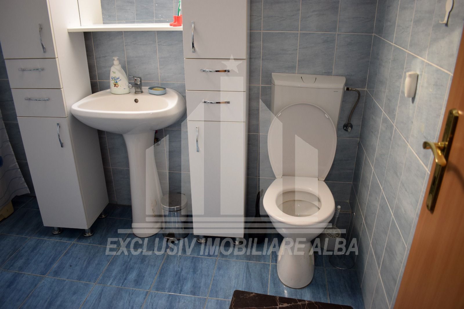 Apartament 2 camere Cetate-Bulevard - Poză 4