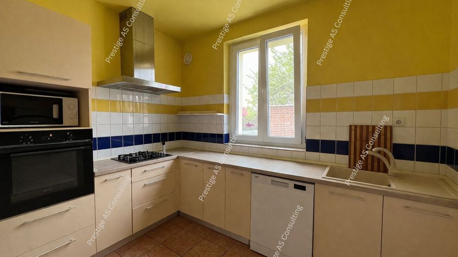 Vila individuala renovata complet | 6 camere | 500 mp teren | Str Jean Monnet - Poză 10