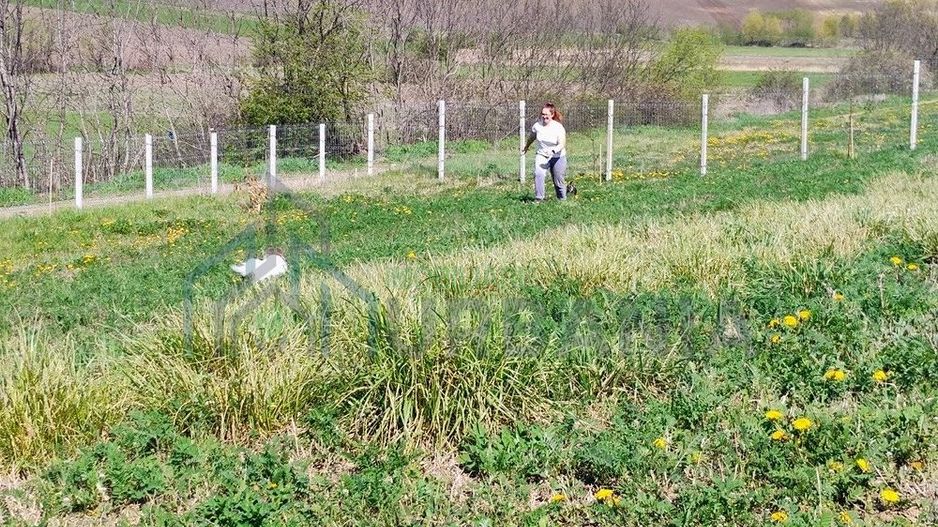 De închiriat: Teren comercial 1500 mp, Mogoșești, DJ 248C, utilități - Poză 5
