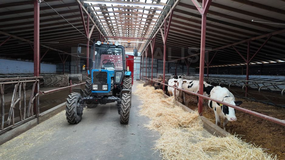 Vânzare, spațiu industrial, Raionul Glodeni, Satul Hîjdieni - Poză 4