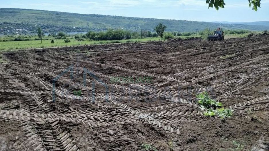 Teren de vânzare în Sorogari, Comuna Aroneanu – 750 și 910 mp, extravilan - Poză 4