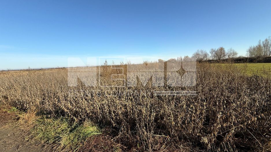 TEREN EXTRAVILAN | 35 ARI | HORODNIC DE JOS | - Poză 6