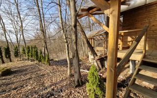 Casa din lemn D+P+M de 400 mp utili si teren 3.000 mp zona Faget - Poză 40