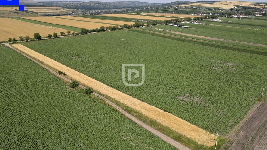 Teren - Orășeni Deal, Curtești | BOTOȘANI | 10.000mp - Poză 5