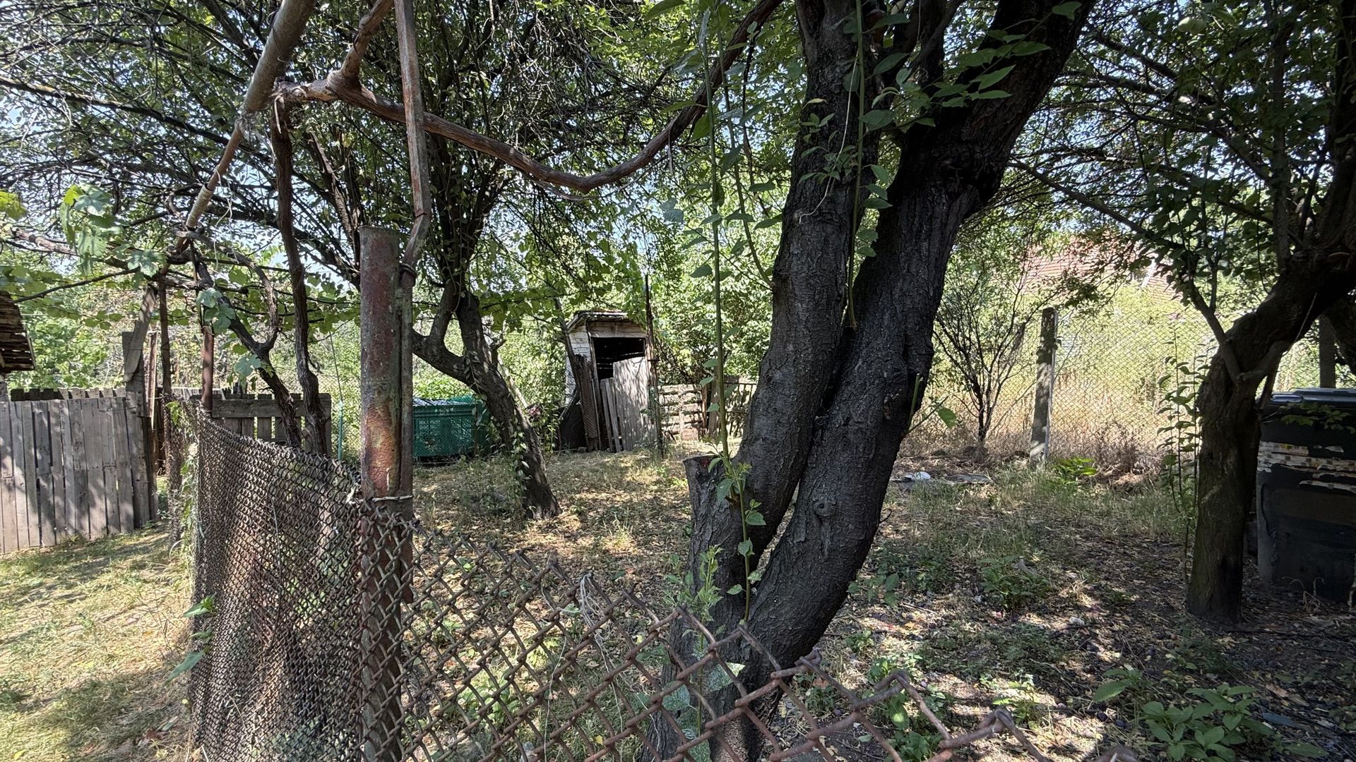 TEREN PENTRU CASA - Poză 1