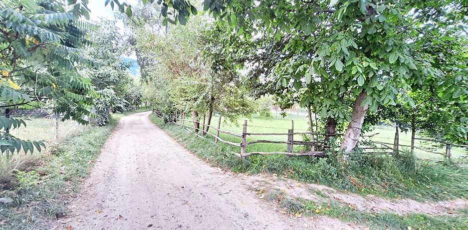 Bran Predelut teren intravilan de 2000mp, pret 27 euro/mp - Poză 2