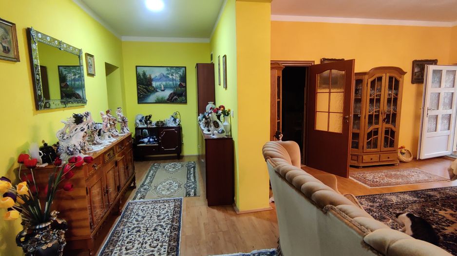 CASA INDIVIDUALA SI HALA CU TEREN  4000 MP - Poză 3