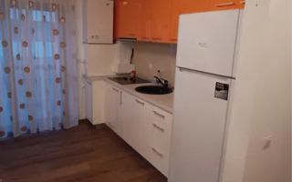 Apartament 2 camere | Etaj 2 | Balcon | Doamna Stanca - Poză 4