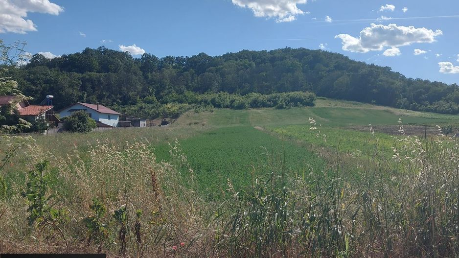 2 parcele teren intravilan, 1200 mp - Mihaita - Cotofenii din Dos - Poză 3