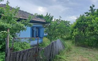 VANZARE CASA | TEREN 2500 MP | LIVADA SI VIE | SAT BREBINA – SCRIOASTEA - Poză 1