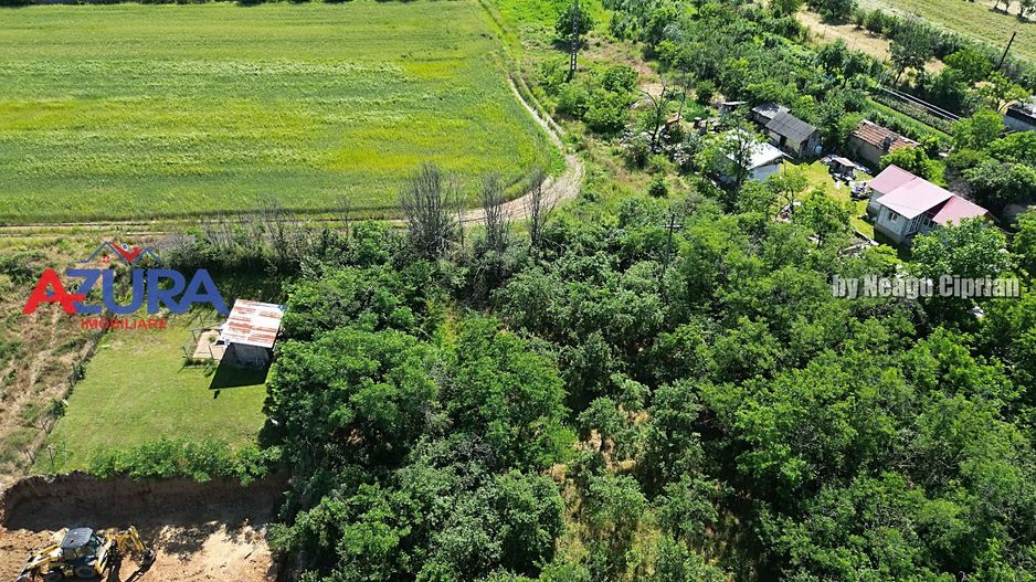 Teren pentru vile in centrul orasului Costesti, 3000 mp - Poză 12