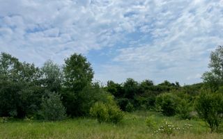 Teren intravilan***1439 mp***Cretesti-Vidra-Ilfov - Poză 25