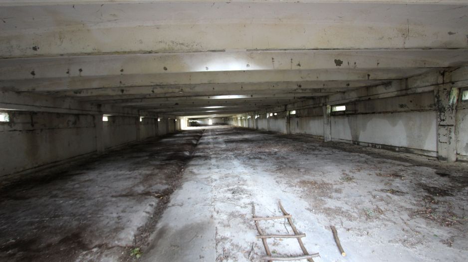 Vanzare hale Mosnita Noua-fosta Ferma 7 - Poză 28