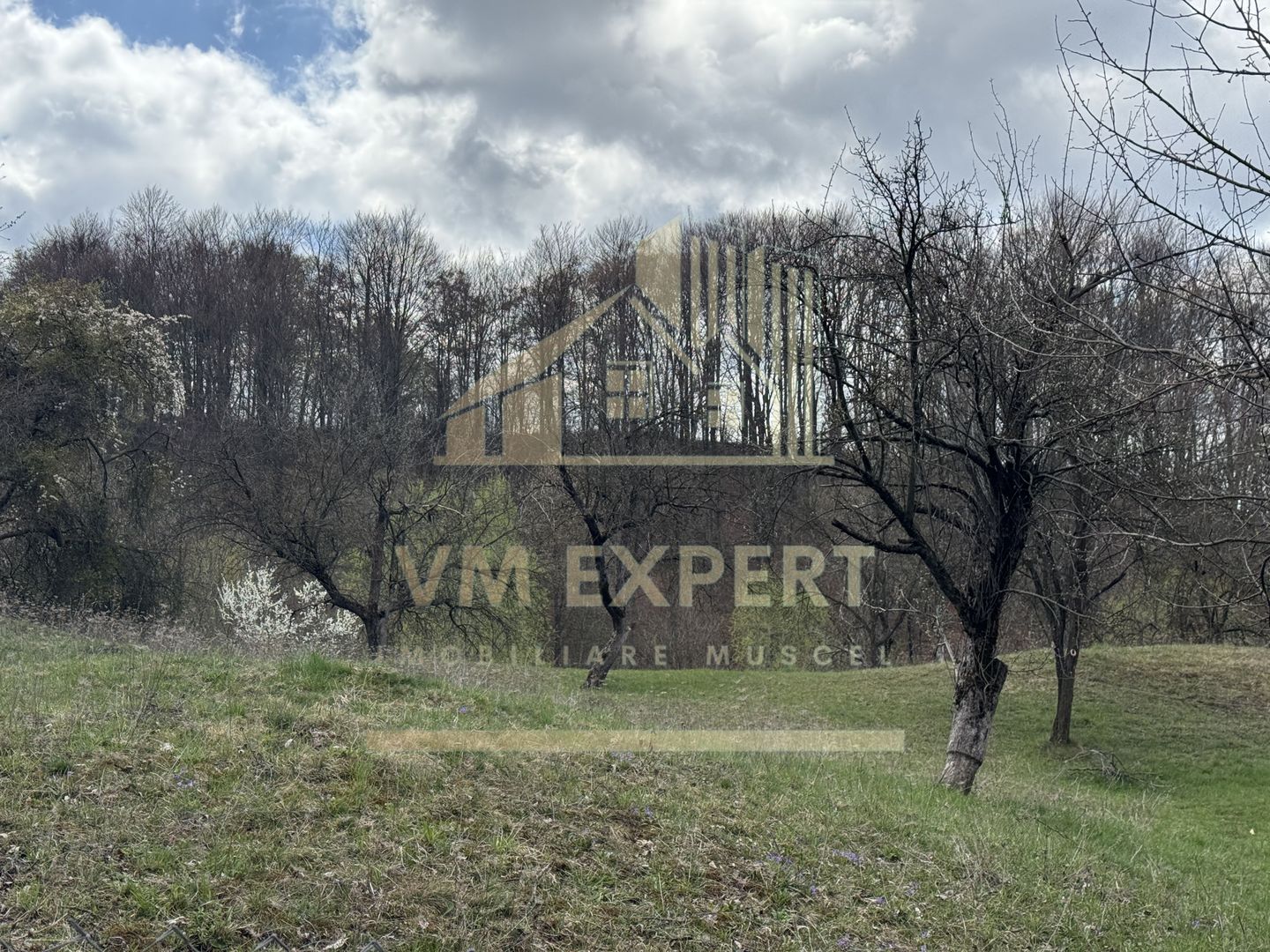 TEREN INTRAVILAN 4365 MP POENARII DE MUȘCEL  JUDEȚUL ARGES - Poză 4