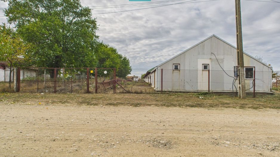 Hală pentru producție / fermă zootehnică  - Variaș - Poză 19