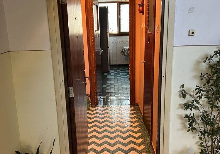 Gorjului 3 camere - Poză 1