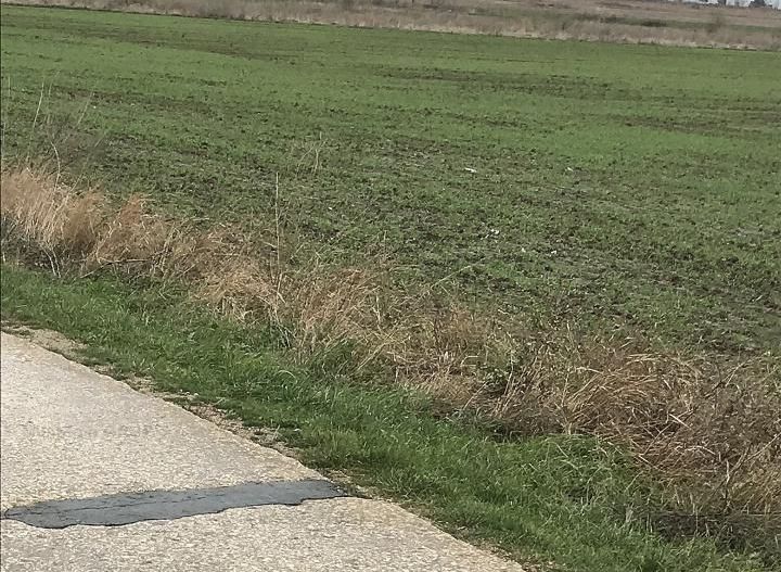 CORBU spre plaja Corbu, teren intravilan 965 mp. ideal constructii - Poză 3