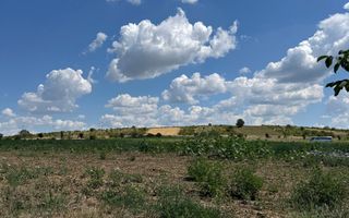 Teren Extravilan Episcopia - Poză 1