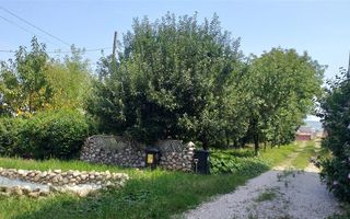 CASA 4 CAMERE, 2000 MP TEREN, ZONA KAUFLAND - Poză 3