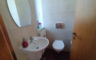 Locuință modernă într-o zonă verde, zona Faget - Poză 5