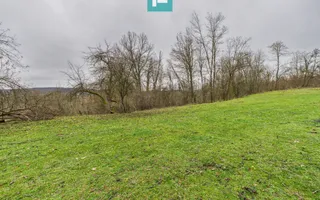 Casă cu teren de 24.679,73 mp, în Hălmagiu, Arad - Poză 18