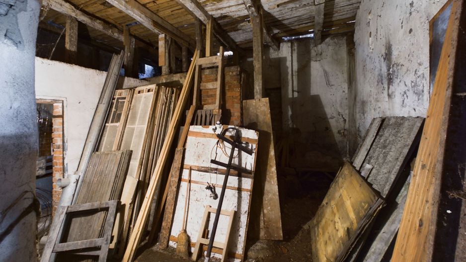 Oportunitate de investiție în orașul Sebiș - Poză 11