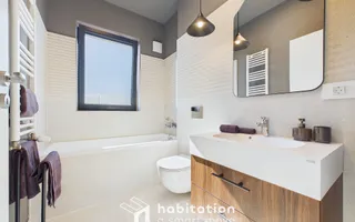 Tur virtual| 3 camere, premium, priveliște spre Bega, Central- Paltim - Poză 21