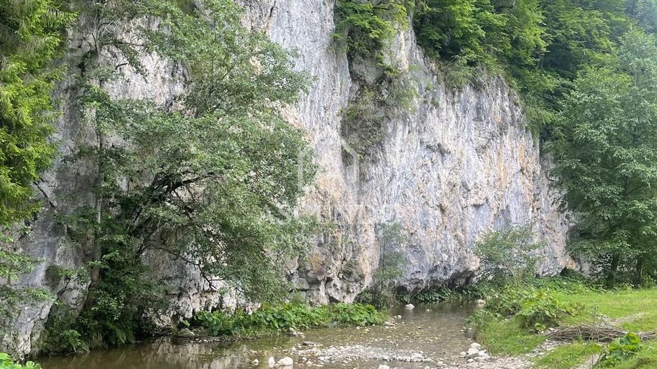 Teren pentru investiție turistică în Dâmbovicioara – Baranga | 4.500 mp | Front ~102 ml - Poză 18
