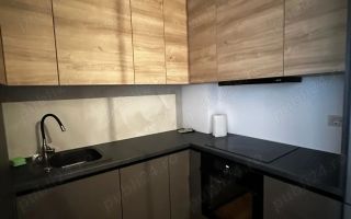 la 5 minute de Iulius Town, centrala prorpie, idela pentru studenti, cuplu - Poză 2