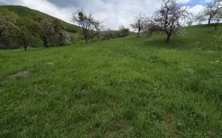 Teren 2,4 Ha cu utilități-Oportunitate Investitie-Herina - Poză 4