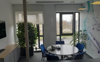 Spatii de birouri clasa A zona de nord, Floreasca. - Poză 2