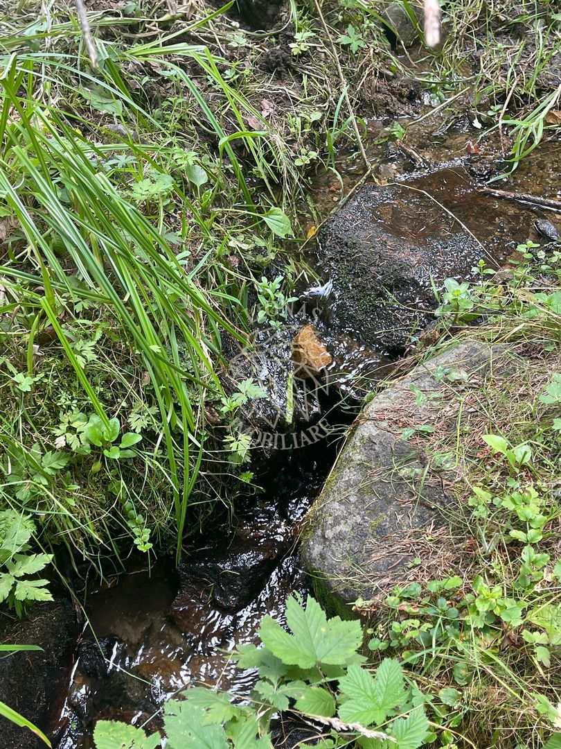 COMISION 0 20.000 MP TEREN EXTRAVILAN CU PADURE ZONA TURISTICA SACUIEU VLADEASA - Poză 4