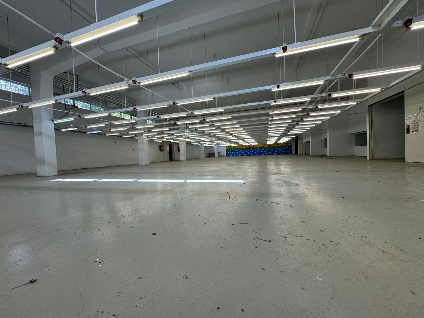 Hala productie P+1 si apartament de serviciu Navodari - c-tie beton - Poză 4