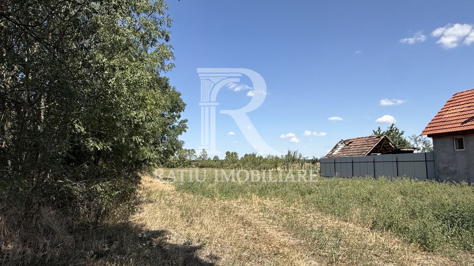 Teren de vanzare | 2600 mp | Gurbediu | Bihor - Poză 2