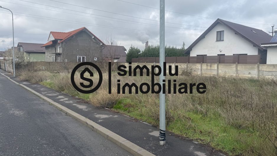 Teren 900 MP Bariera Valcii - Poză 3