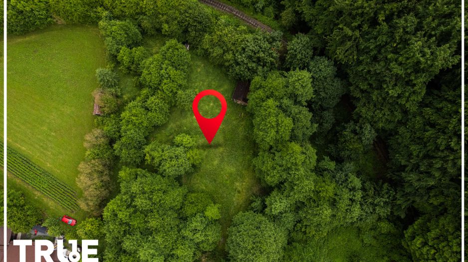 Teren intravilan 2.800 m² în Câmpu Cetății – liniște și natură - Poză 13