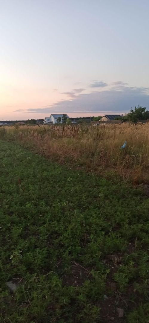 Teren Branesti - Strada Noua - Poză 7