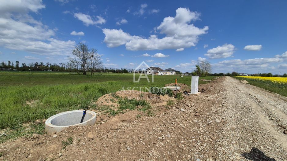 Teren intravilan 704 mp – Siliștea Snagovului | Lângă Pădurea Snagov - Poză 6