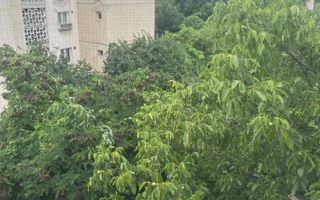 Apartament 2 camere, Podu Ros, Iasi – disponibil din august - Poză 7