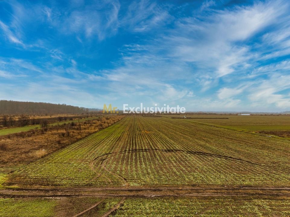 Teren intravilan 5040 mp, deschidere dubla - Poză 2
