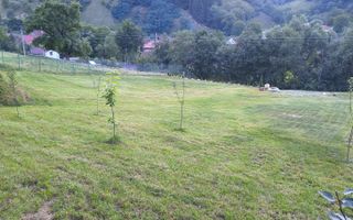 Teren intravilan de vânzare | Râu Sadului | PUZ aprobat - Poză 9