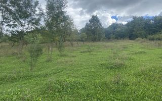 TEREN 1617 MP CAMPULUNG-MUSCEL - Poză 1